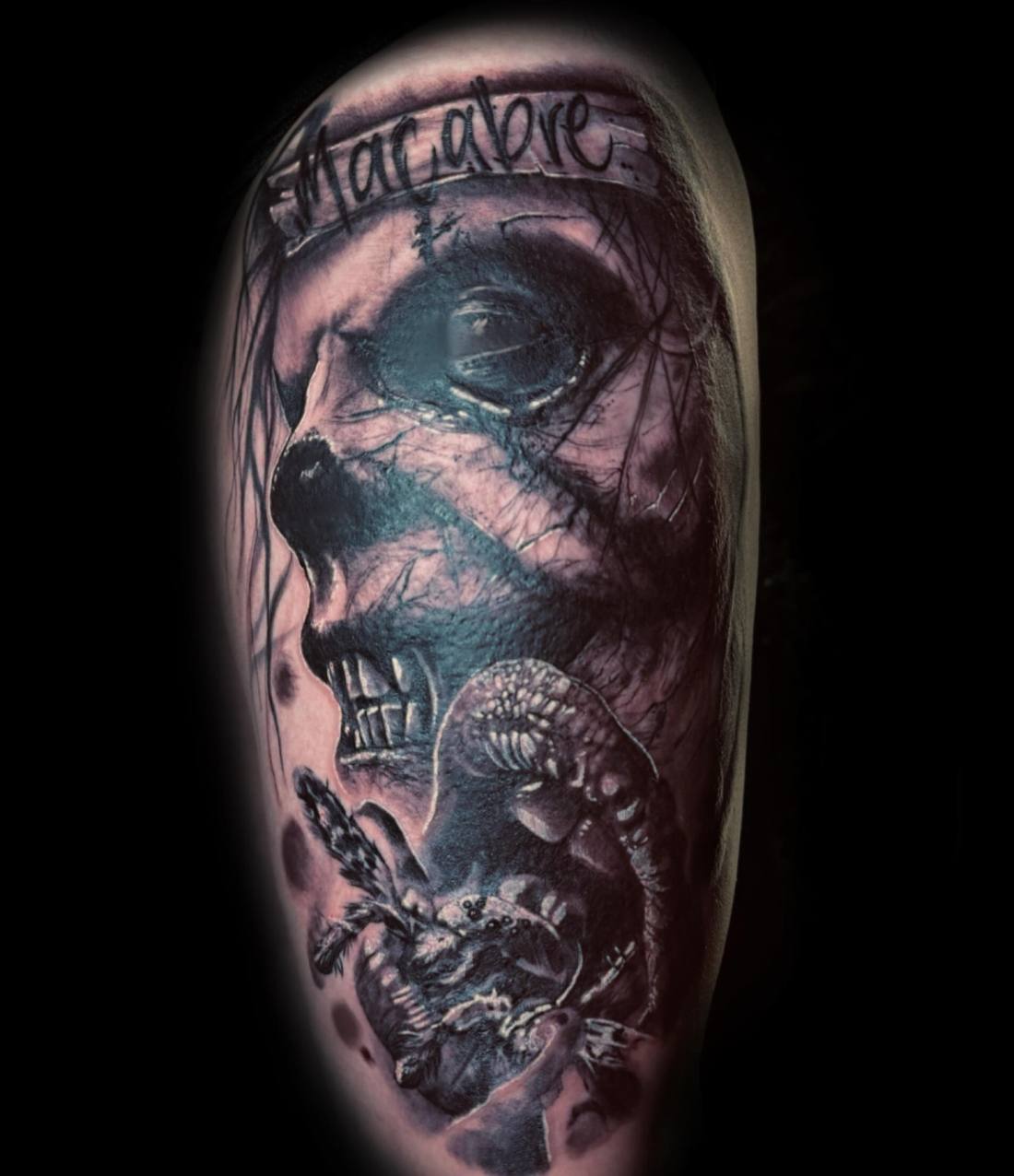 Skull with a scorpion and the word Macabre