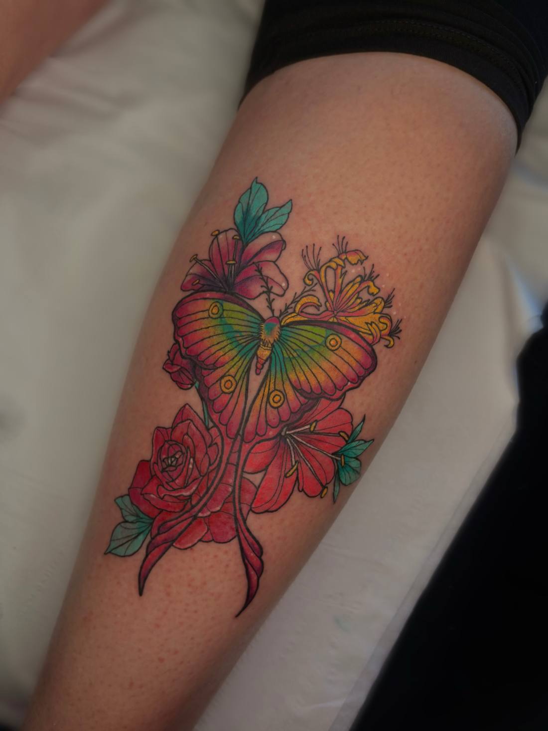 Colour butterfly with red roses